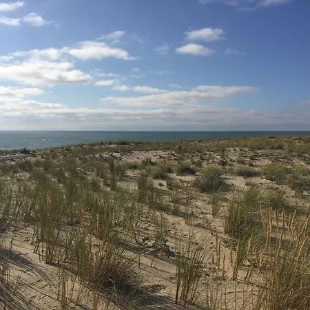 Familiale Piscine-ocean & Bassin D'arcachon Βίλα