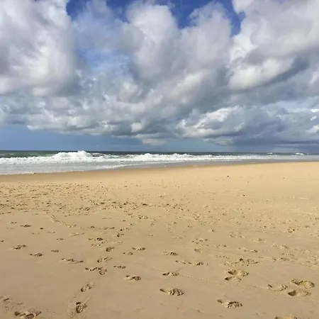 Villa Familiale Piscine-ocean & Bassin D'arcachon